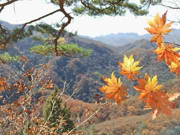 天门山景区开车去方便吗（天门山景区开车去方便吗要多久）